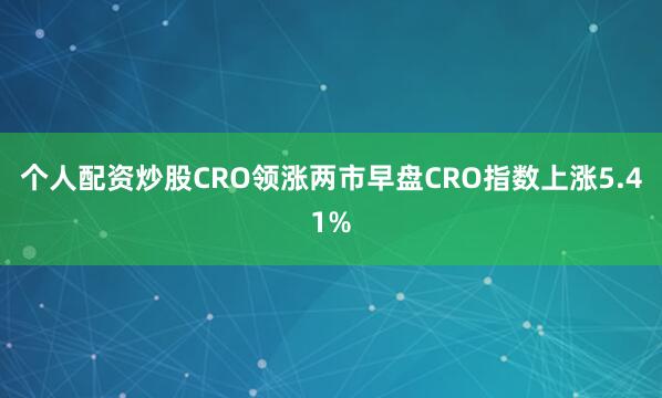 个人配资炒股　　CRO领涨两市　　早盘CRO指数上涨5.41%