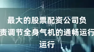 最大的股票配资公司负责调节全身气机的通畅运行