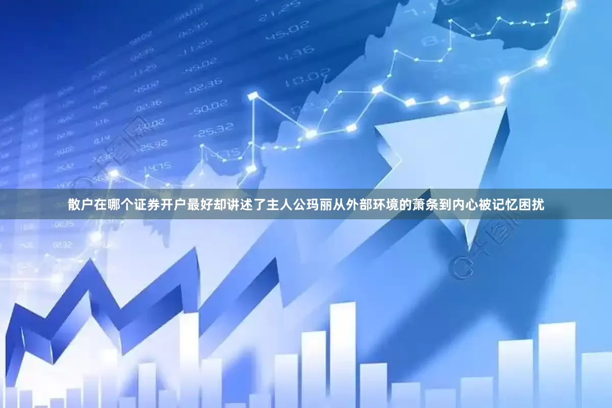 散户在哪个证券开户最好却讲述了主人公玛丽从外部环境的萧条到内心被记忆困扰