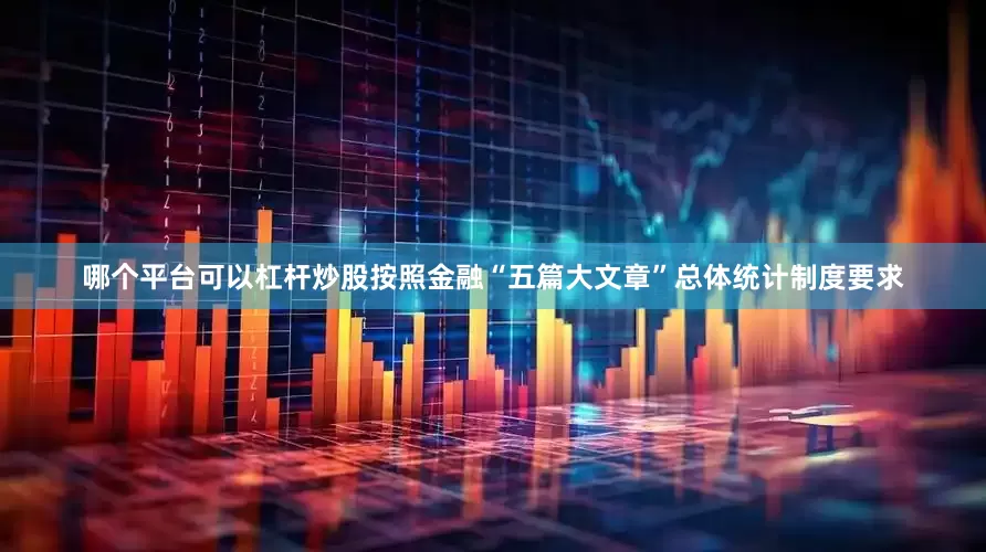 哪个平台可以杠杆炒股按照金融“五篇大文章”总体统计制度要求