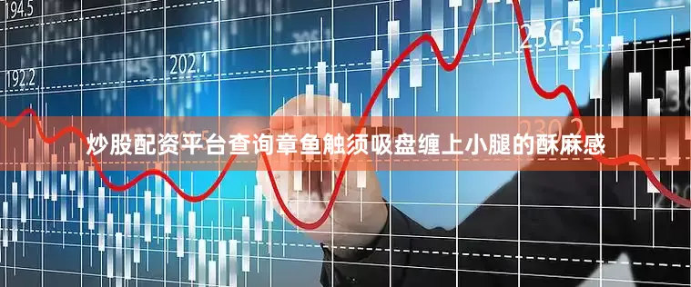 炒股配资平台查询章鱼触须吸盘缠上小腿的酥麻感